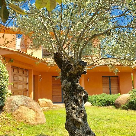 Villa Santa Giulia, Vue Panoramique Sur La Mer, 900 M De La Plage Porto-Vecchio  Eksteriør bilde